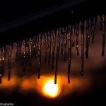 Kim Loftis icicles