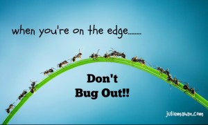 Don't Bug Out
